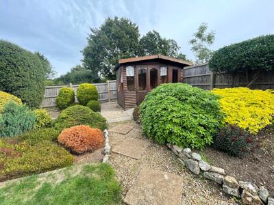 Picture 20